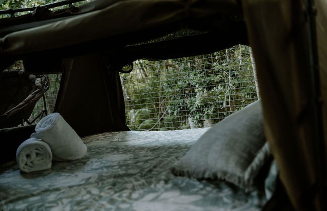 Castle Rock Farm - Photo 7