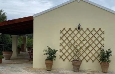 Green Studio - Foto 12