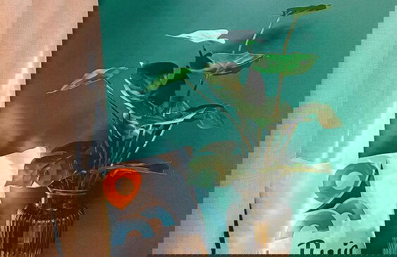 Compactos de Luxo - J.smart Aldeota - Foto 43