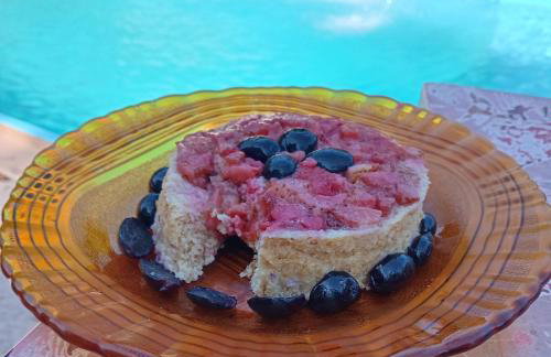 Mirante da mata - Photo 20