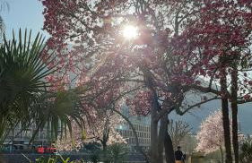 LAnJA ihr besonderes Urlaubszuhause - Foto 13