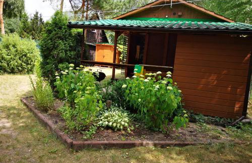 domki domek na jeziorem Wilczyńskim Budzisławskim , las, osobno ogrodzony 2-6 osób- klimatyzacja, ogrzewanie, 62-550 Zygmuntowo gm Wilczyn - Foto 25