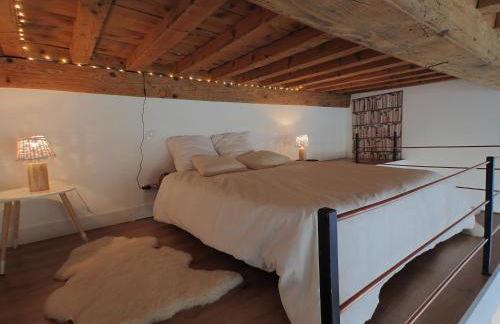 La "Pépite" Du Vieux Lyon - Foto 21