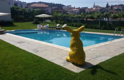 Casa Castedo do Douro - Foto 16