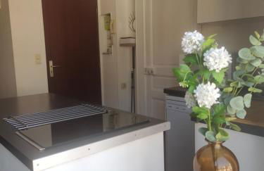 Chaleureux T2 au style VINTAGE - rue gratuite - Foto 12