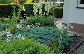 Willa w Kórniku - blisko Poznania - Foto 48