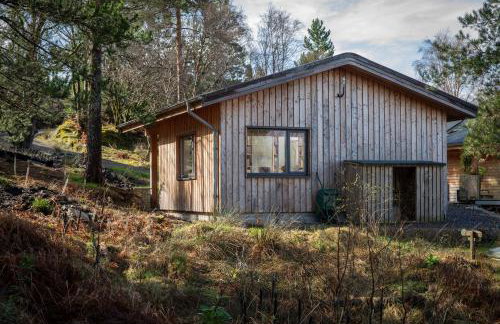 studio in the wood - Foto 16