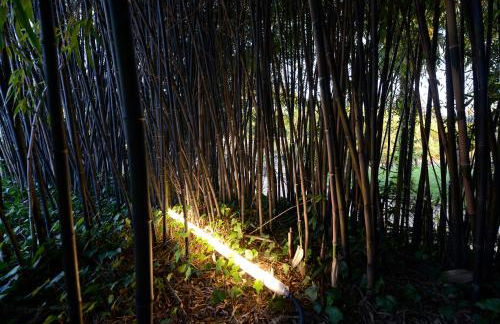 Casa de Docim - Foto 27