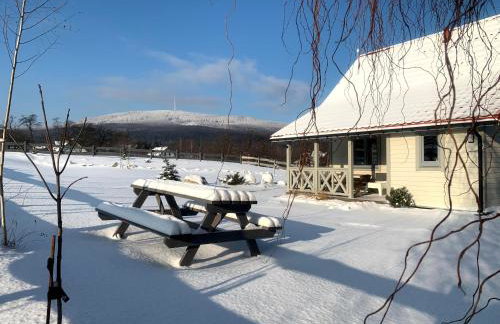 Bliżej Ślęży Domki pod Ślężą - Photo 51