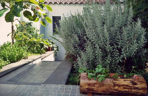 Casa da Corisca - Photo 16