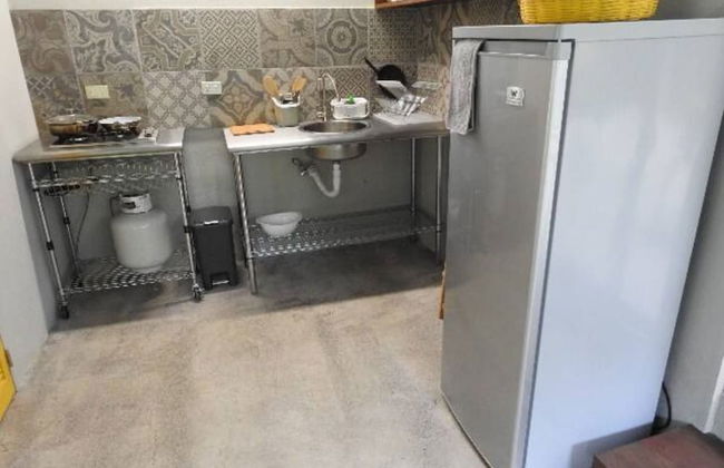 Relaxing Sound of River Birds Squirrels - Foto 11