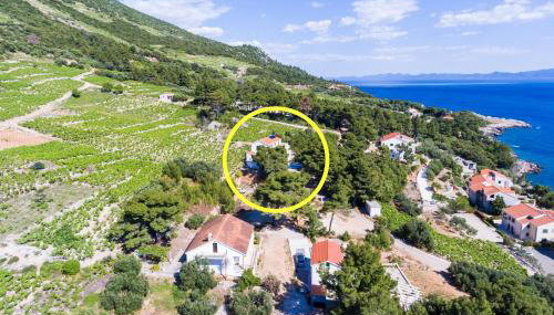 Apartments Villa Dingač - Foto 3