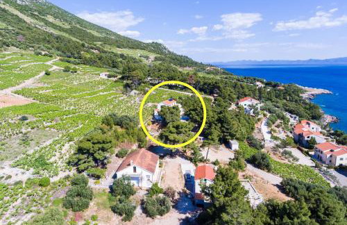 Apartments Villa Dingač - Foto 3