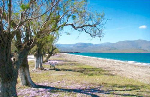 Villa Marita - Photo 61