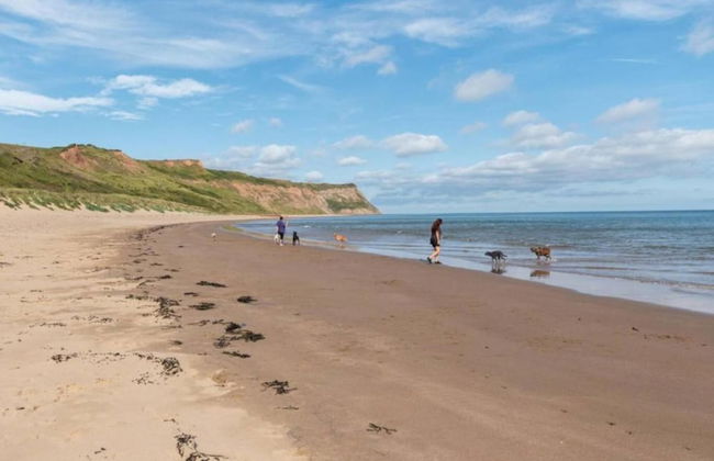 Apartments in Skinningrove, Cattersty Sands Beach - Foto 63