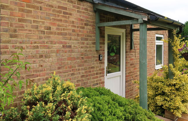 Ash Cottage - Foto 41