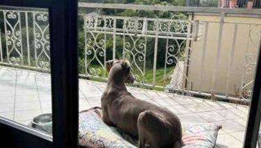 Valtellinda - Foto 4