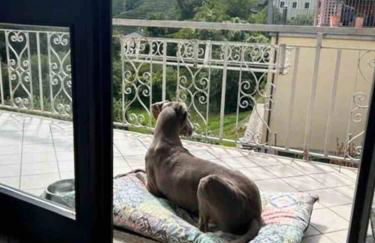 Valtellinda - Foto 4