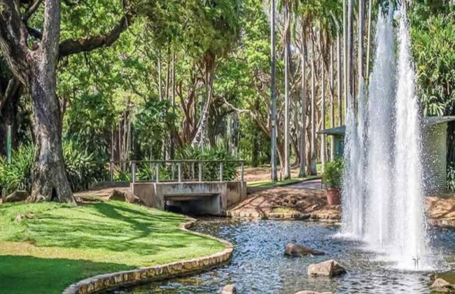 Zen Nomad Balcony Outdoor Dining Markets - Foto 19