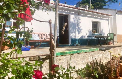 Casa Anneli - relaxing under the olive tree - Foto 35