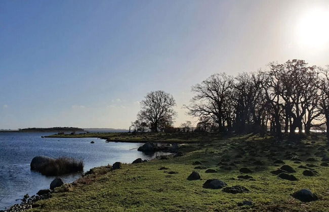 6 Person Holiday Home in Kettinge - Foto 41