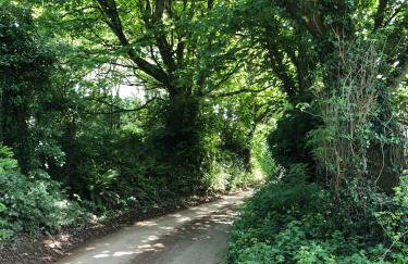 Modern Beach House overlooking the Sea - Foto 42