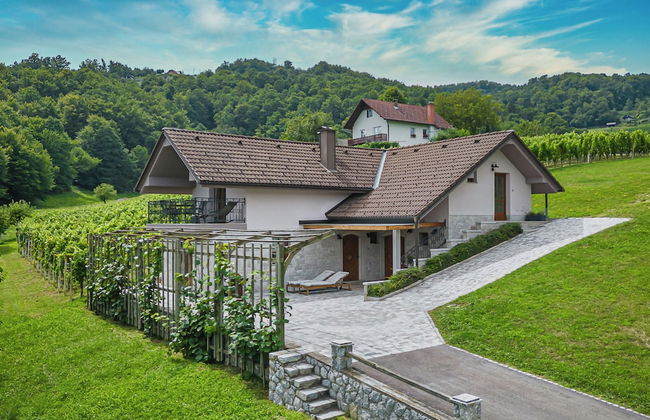 Vineyard Cottage Radovlja With Sauna - Foto 26