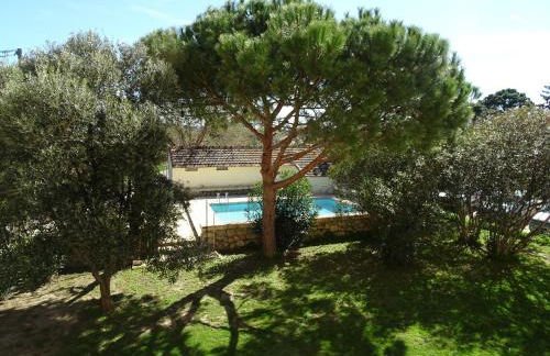 Domaine du Petit Tournebelle - Foto 7