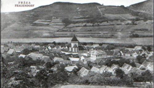 Winzerei Siebenbürgen Weingut Frauendorf-Bergstadt Landau - Foto 2