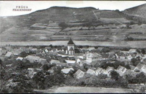 Winzerei Siebenbürgen Weingut Frauendorf-Bergstadt Landau - Foto 2
