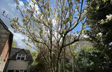 Luxury Cottage Dog friendly with Hot Tub - Foto 12