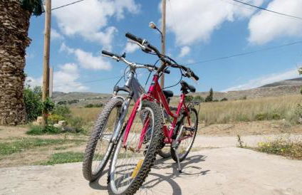 Tania village Zakros maisonette - Foto 65