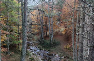 La casa in Sila di Romeo e Zietta - Foto 3