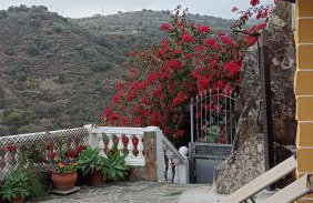 Casa cueva El Balcón del Cortijo - Foto 29