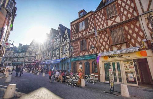 Le Canard du Berry - Wifi - Centre Ville - Foto 25