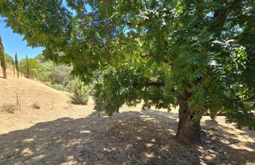 The Alhambra Retreat Gated Spacious Private - Foto 6