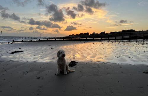 4 Bed in Bognor Regis oc-81446 - Photo 28