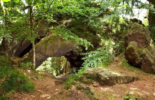 Holiday Home "schwedenhaus Bad Tabarz" - Photo 26