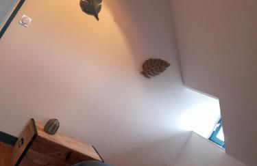 Gite du Portalet - Photo 17