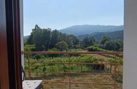 Casa Vinograd - Foto 10