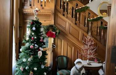 Historic Mansion with lots of charm - Foto 17