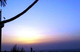 Alexandra Homestay - Foto 50