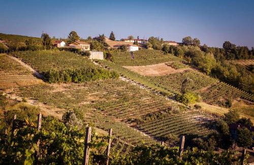 Villa Vinory - La Mandragola - Foto 77