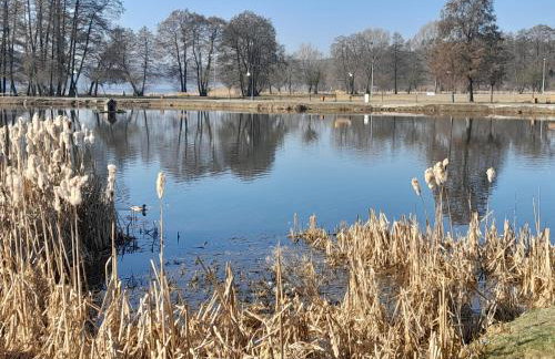 Na Starówce - Foto 27