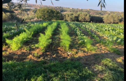 Casale Kintsugi - Foto 44