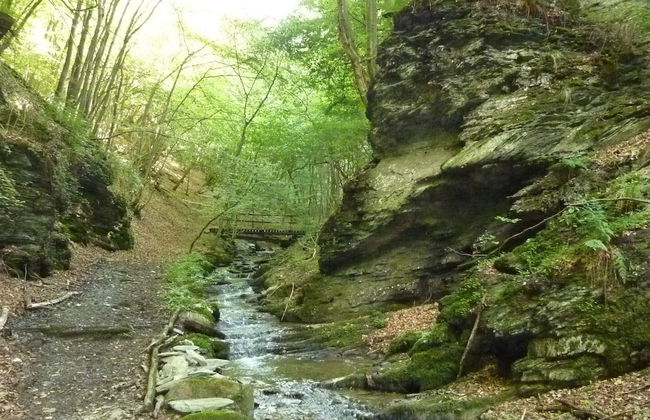 Ferien im Hunsrück - Foto 16