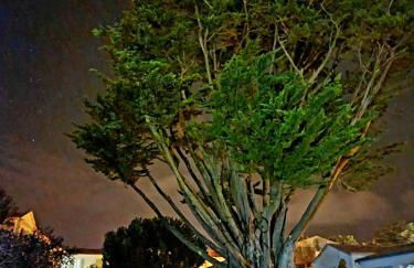 Appartement 91 Palais des Gouverneurs Jardin Piscine couverte et exterieure Sauna Hammam Fitness Clim - Foto 65