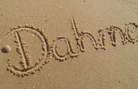 Haus Seeblick - Foto 13