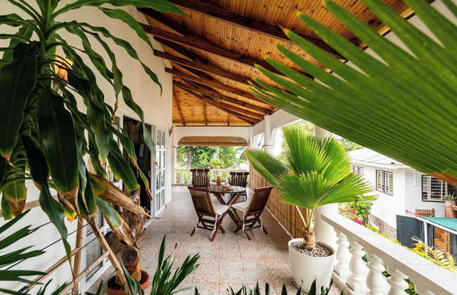 Beau Bamboo - Foto 27