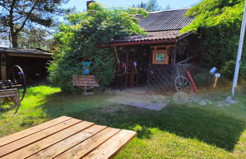 Agroturystyka Zagroda Alpaka - Foto 56